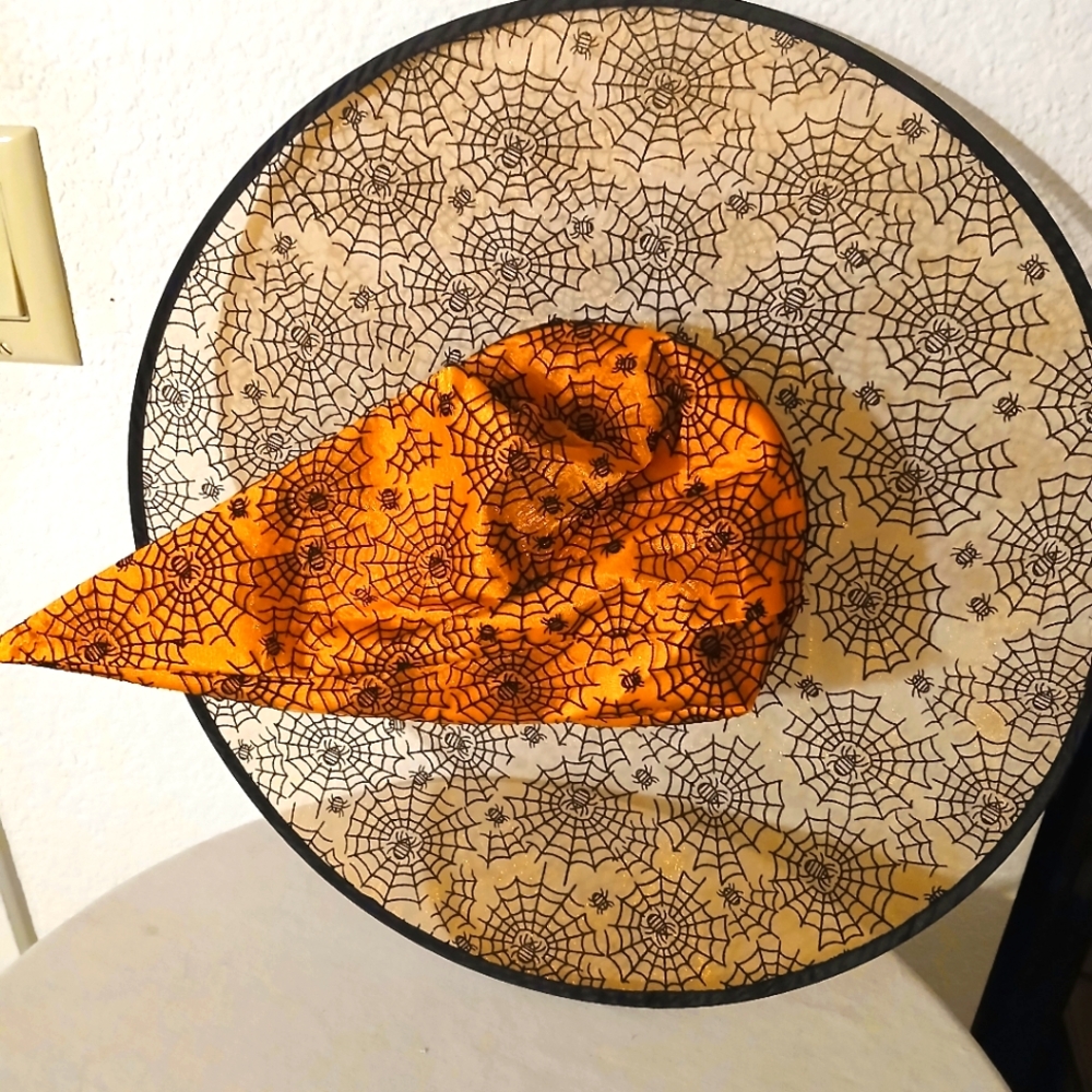 Dan Dee witch hat